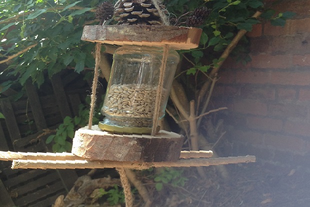 Make Your Own Bird Feeder Birmingham City University