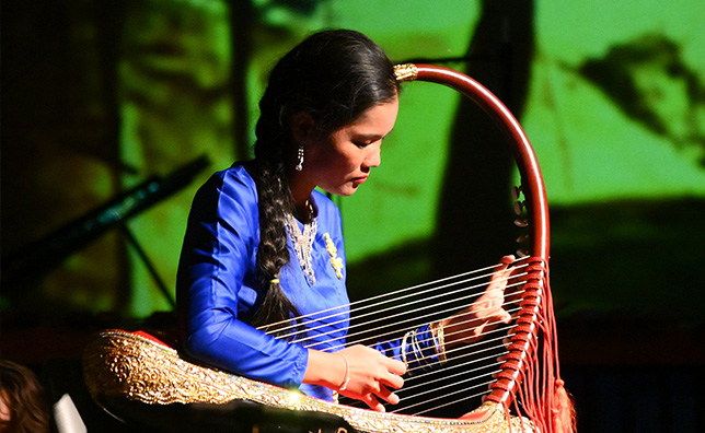 Performer playing a string instrument