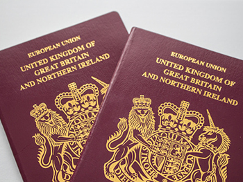 british nationals travelling to usa