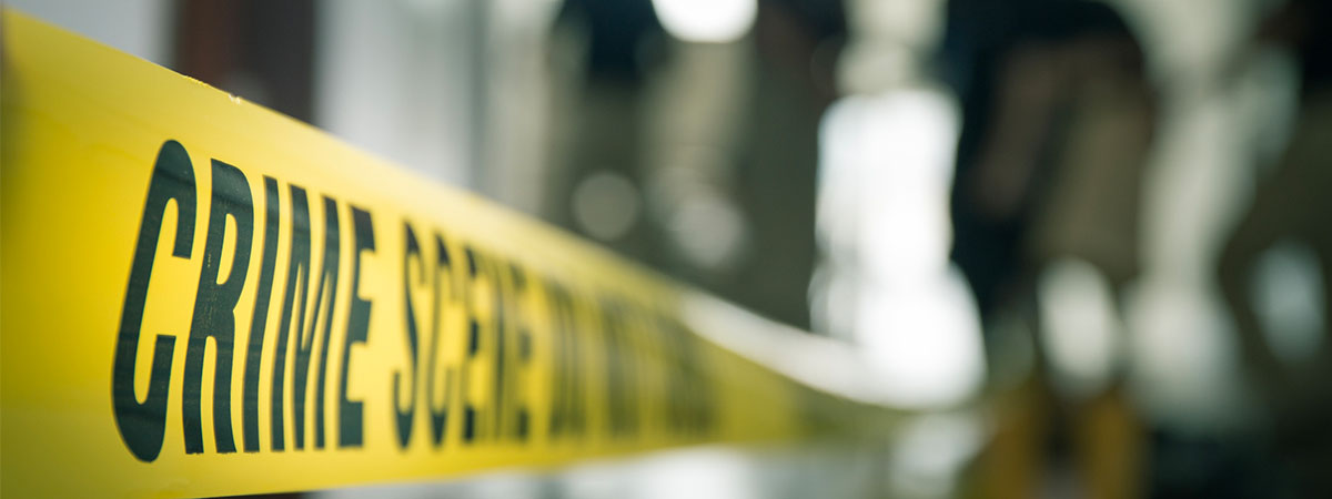 Crime and Criminals research strand