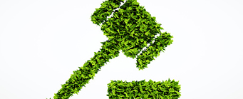 Centre of Human Rights Environmental Law Image 341x139 - Hedge hammer