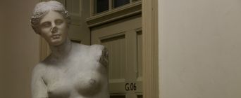 BIAD Plaster Cast Collection