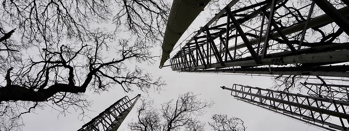 Theo's research project Speculative Natures speculates on the formation of new rural communities in Europe and elsewhere