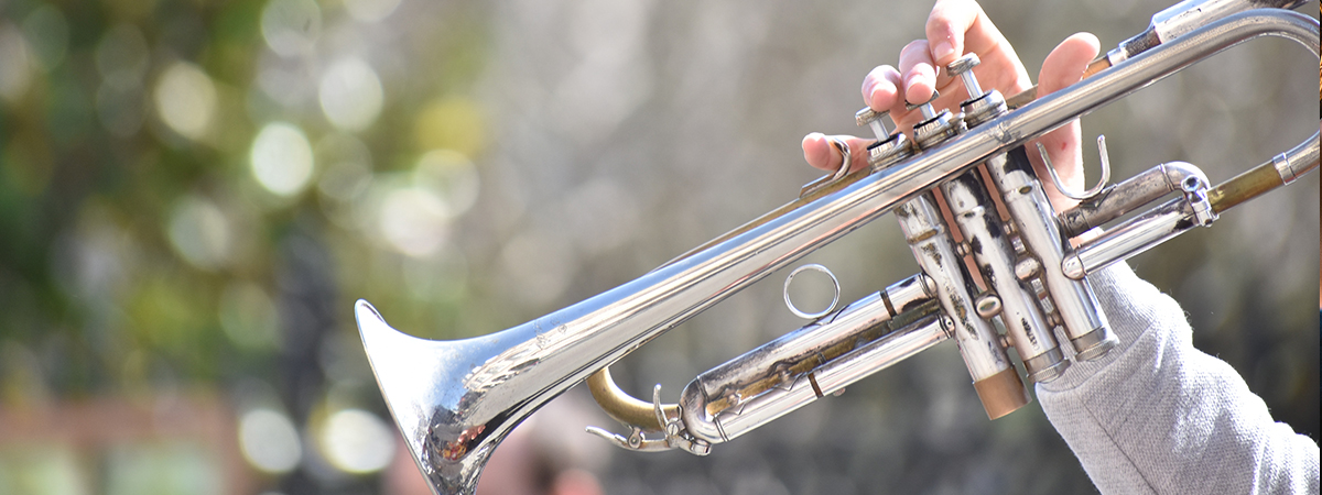 trumpet large