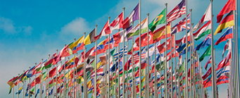 Centre for Human Rights Universal Periodic Review Image 341x139 - Flags