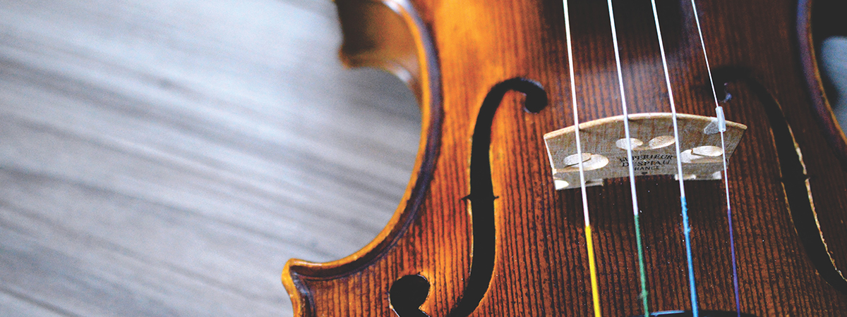 violin large